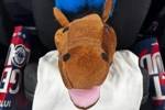 🐴新版反约基奇装甲？快船主场为&ldquo;球迷墙&rdquo;准备了马面头套