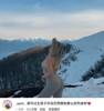 旺达又在散发魅力了，外网网友：生孩子后还能拥有好身材😅